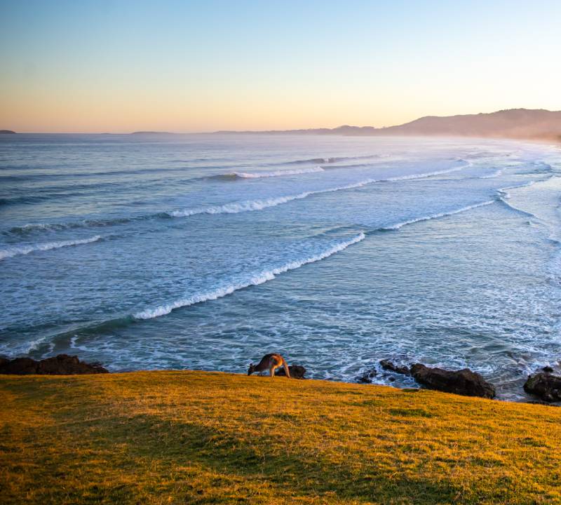 greenstar hire alstonville