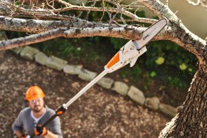Stihl pole saw